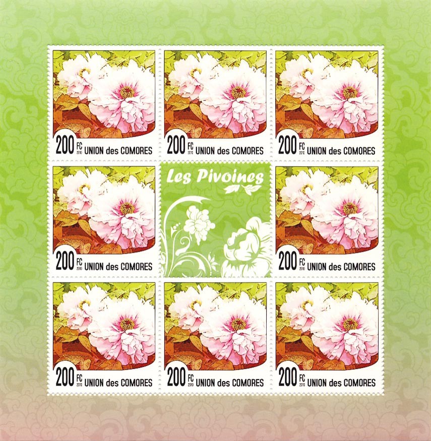 Flower of China - Issue of Comoros postage stamps