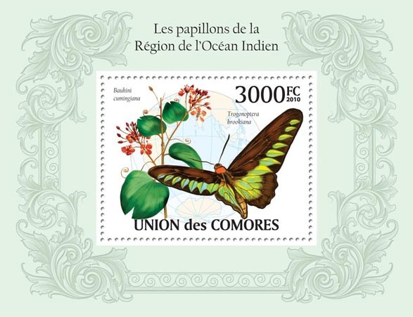 Butterflies in Region of Indian Ocean,  (Trogonoptera brookiana) - Issue of Comoros postage stamps