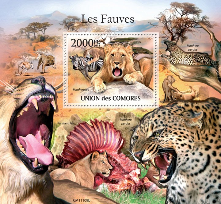 Felines. - Issue of Comoros postage stamps