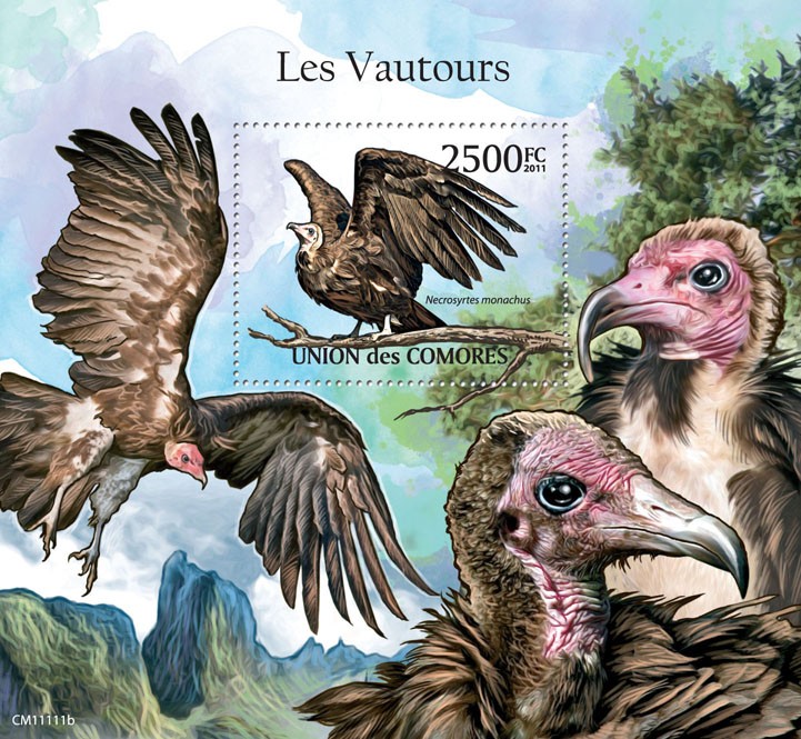 Vultures. - Issue of Comoros postage stamps