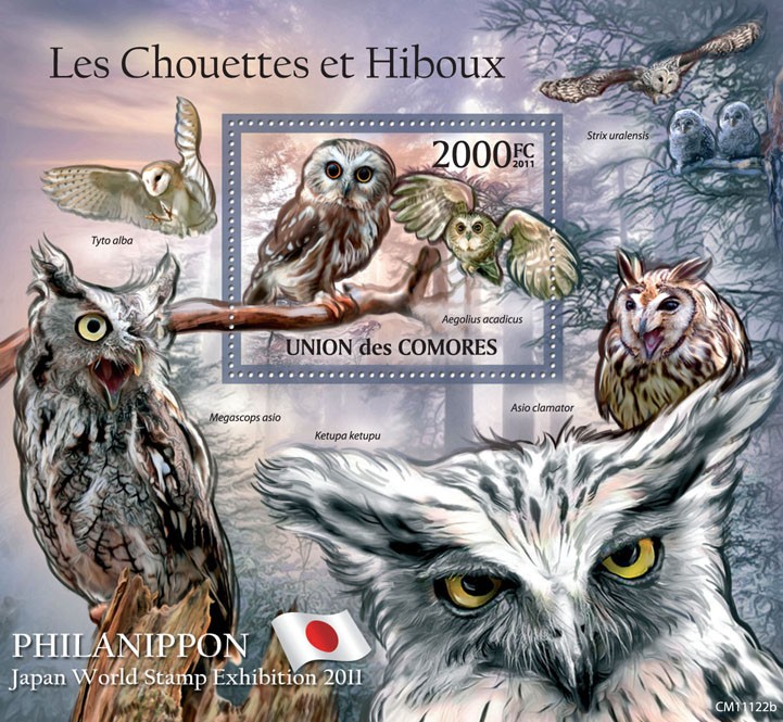 Owls II, Philanippon 2011. - Issue of Comoros postage stamps