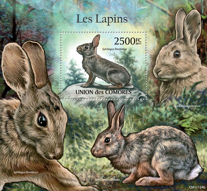 Rabbits (Sylvilagus floridanus). - Issue of Comoros postage stamps
