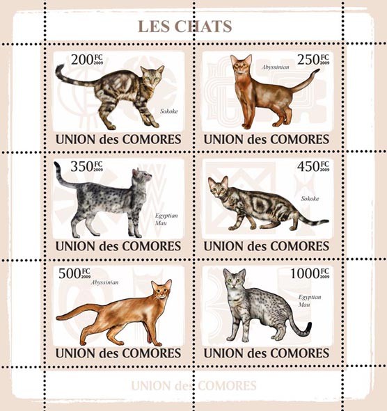 Cats - Issue of Comoros postage stamps