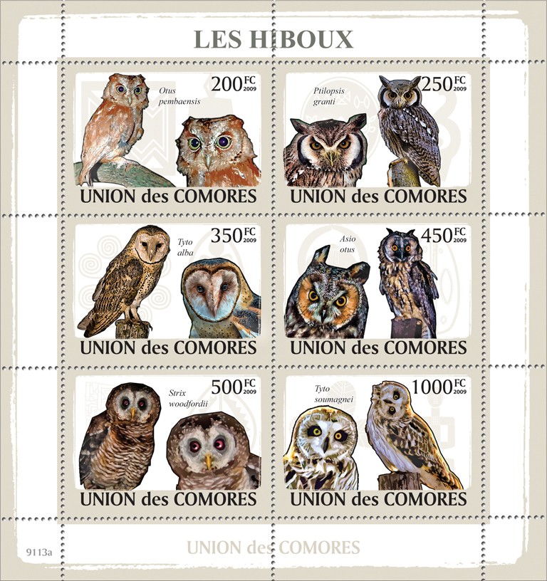 Owls - Issue of Comoros postage stamps