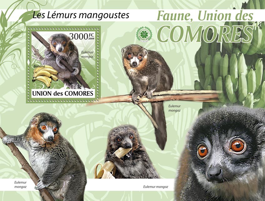 Mongoose Lemurs Eulemur mongoz?ﾀﾯ - Issue of Comoros postage stamps