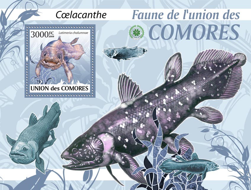 Coelacanth fishes,?ﾀﾯLatimeria chalumnae?ﾀﾯ - Issue of Comoros postage stamps