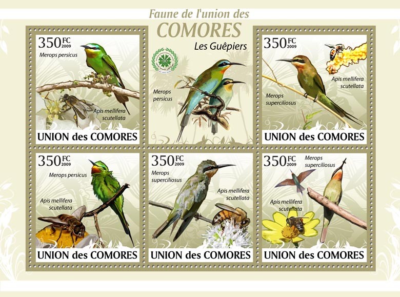 Birds bee-eater, Merops persicus?ﾀﾯ - Issue of Comoros postage stamps