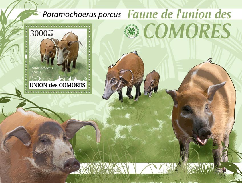 Bush Pigs, Potamochoerus porcus?ﾀﾯ - Issue of Comoros postage stamps