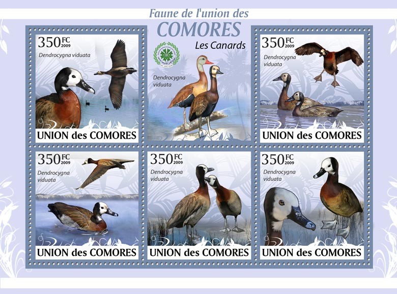 Ducks, Dendrocygna viduata?ﾀﾯ - Issue of Comoros postage stamps