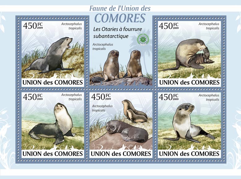 Sea Lion Arctocephalus tropicalis?ﾀﾯ - Issue of Comoros postage stamps